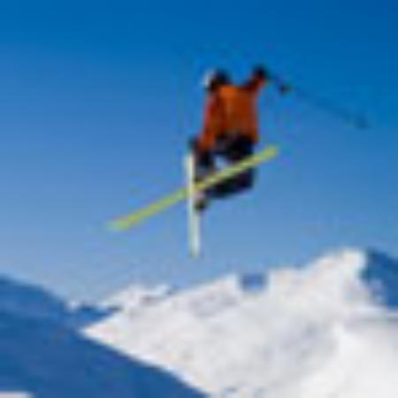 Bear88 Gourmet Dumpling